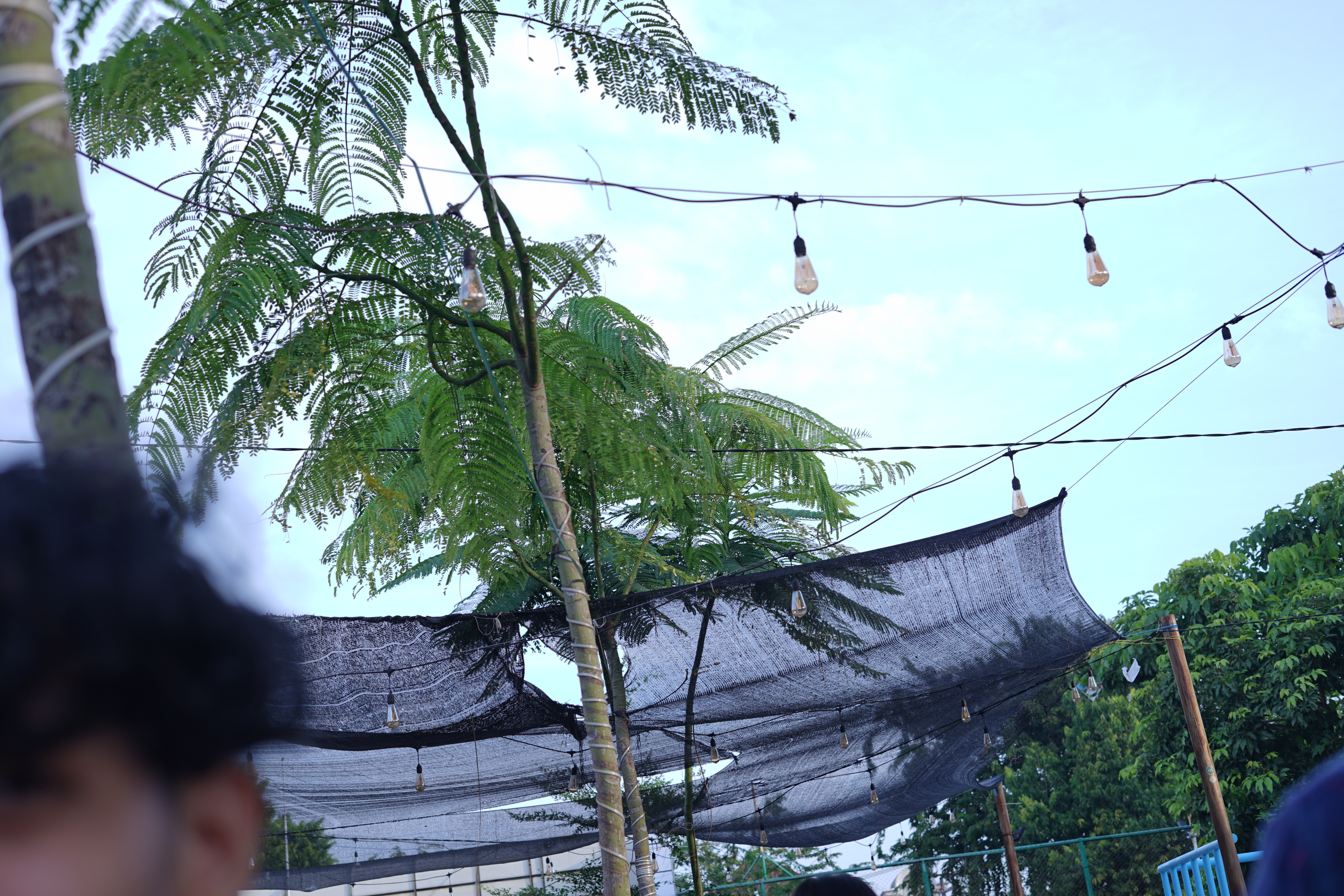 Suasana Siang
